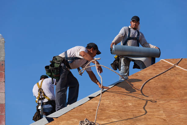 Best Roof Maintenance Services  in Long View, NC